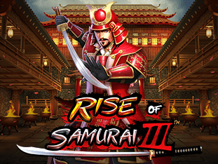 Rise Of Samurai 3 game icon